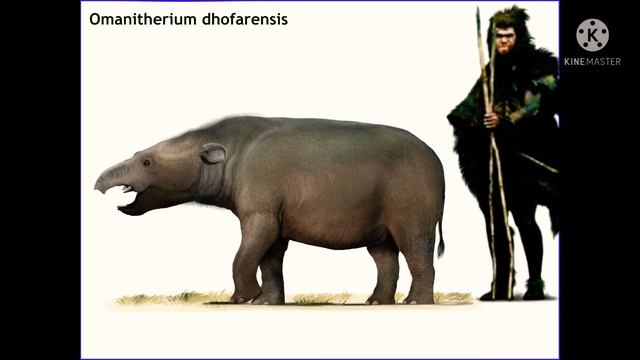omanitherium accurate sound effect смотреть онлайн