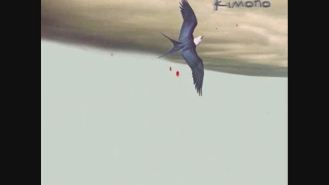 Kimono - Wire смотреть онлайн