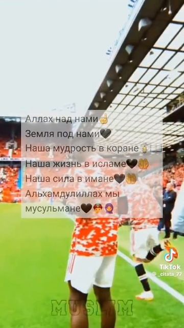 1000016500.mp4 смотреть онлайн