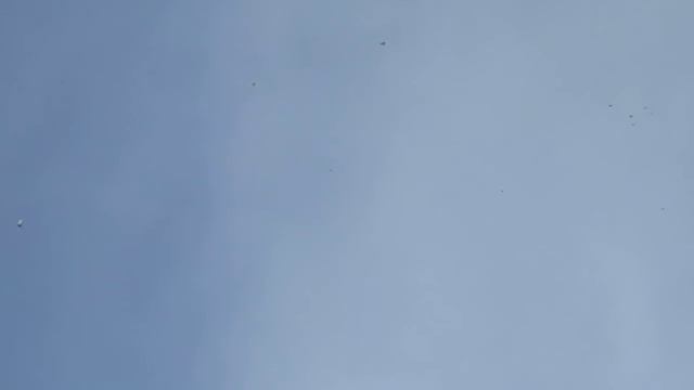 MVI 2618 И голос мой дрожал,предчуствуя беду смотреть онлайн