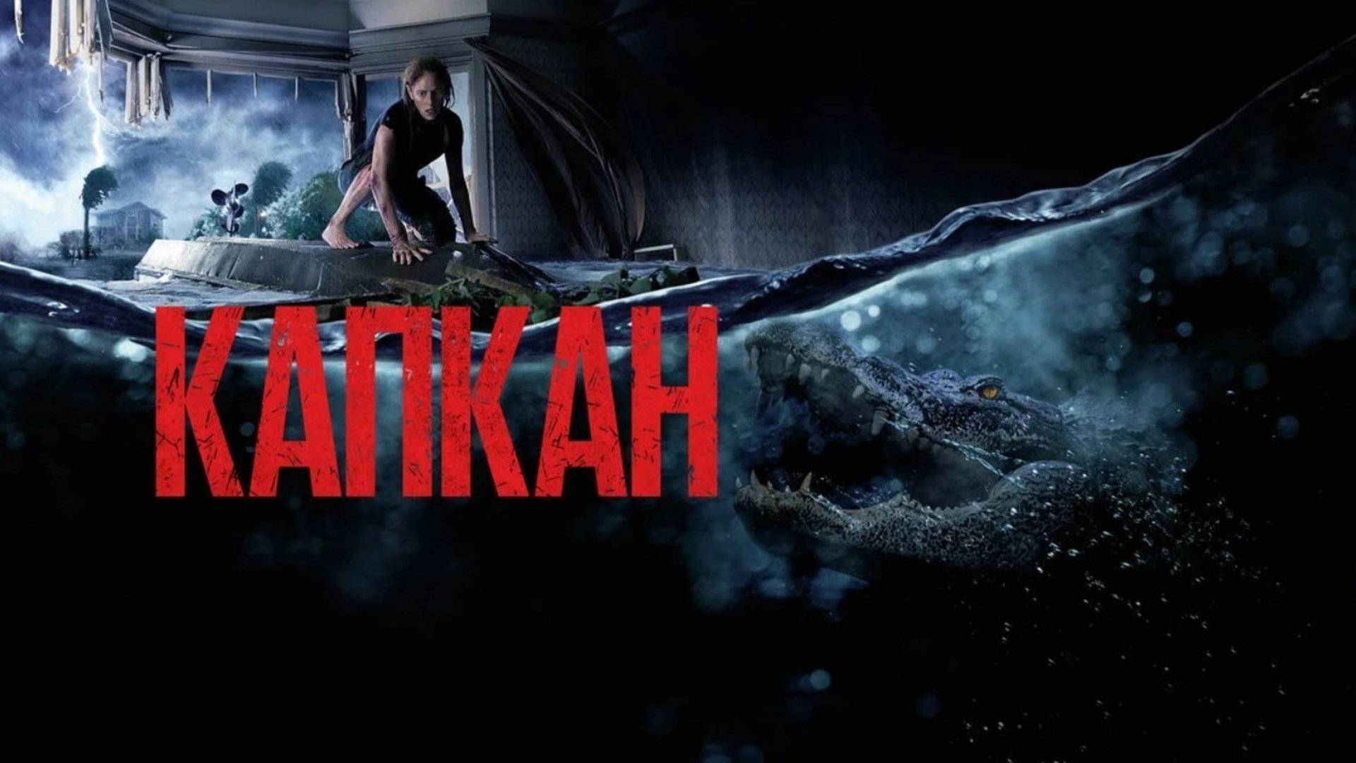 Капкан | Crawl (2019) смотреть онлайн