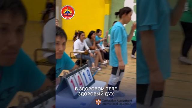 Соревнования по волейболу среди учителей смотреть онлайн