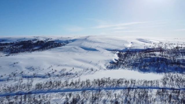 DJI Mini 2 - The Arctic Life смотреть онлайн