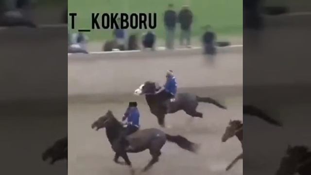 Кок бору смотреть онлайн