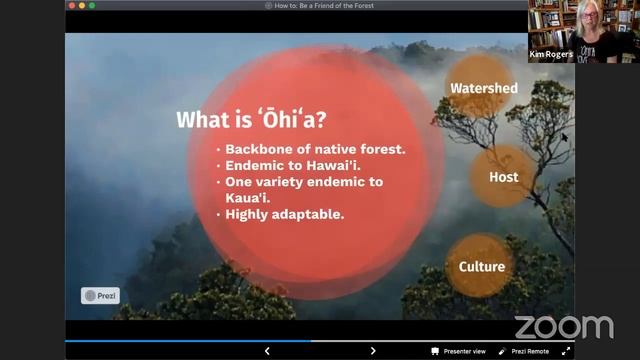 How to be a Friend to The Forest смотреть онлайн