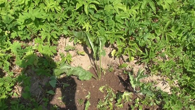 Первый день отпуска | 19 июня 2023