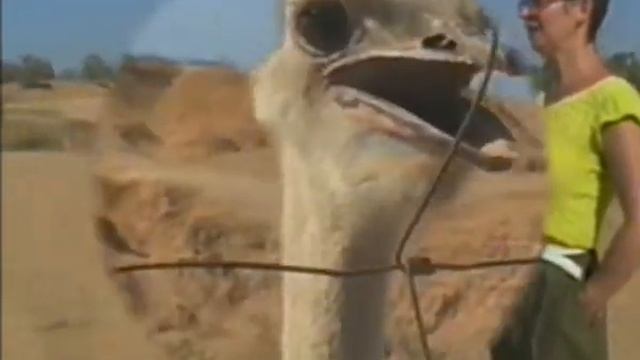 3 дня в гостях на юге Израиля_(I-ая часть)..avi