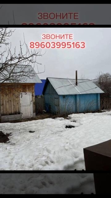 11876637 смотреть онлайн
