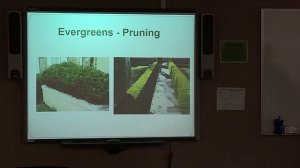 Selecting, Planting & Care of Evergreens - Mercer County Lawn & Garden Talk