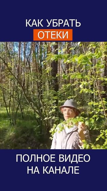 БЕРЁЗОВЫЕ ПОЧКИ – ПРИРОДНЫЙ ЭЛИКСИР ЗДОРОВЬЯ! #shotrs #береза #почки смотреть онлайн