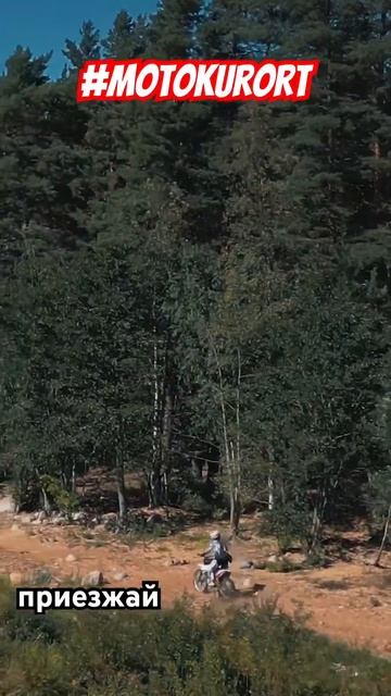 Легальный наркотик. Приезжай в отпуск! Скучно не будет. Научим. Права не нужны. #motokurort #shorts смотреть онлайн