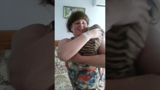 Тигренок в номер. смотреть онлайн