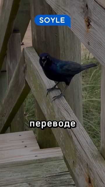 29 июля 2024 г. смотреть онлайн