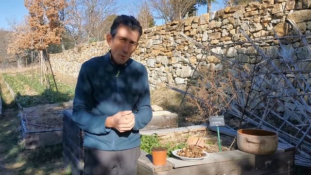 Faire ses semis de Ricin смотреть онлайн