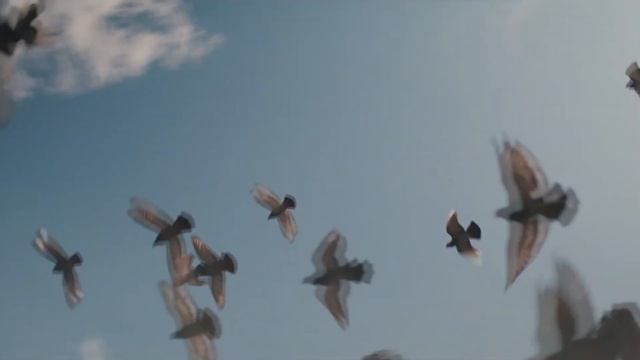 Dr. Dre Eminem - Gospel Official Video GTA ONLINE Soundtrack