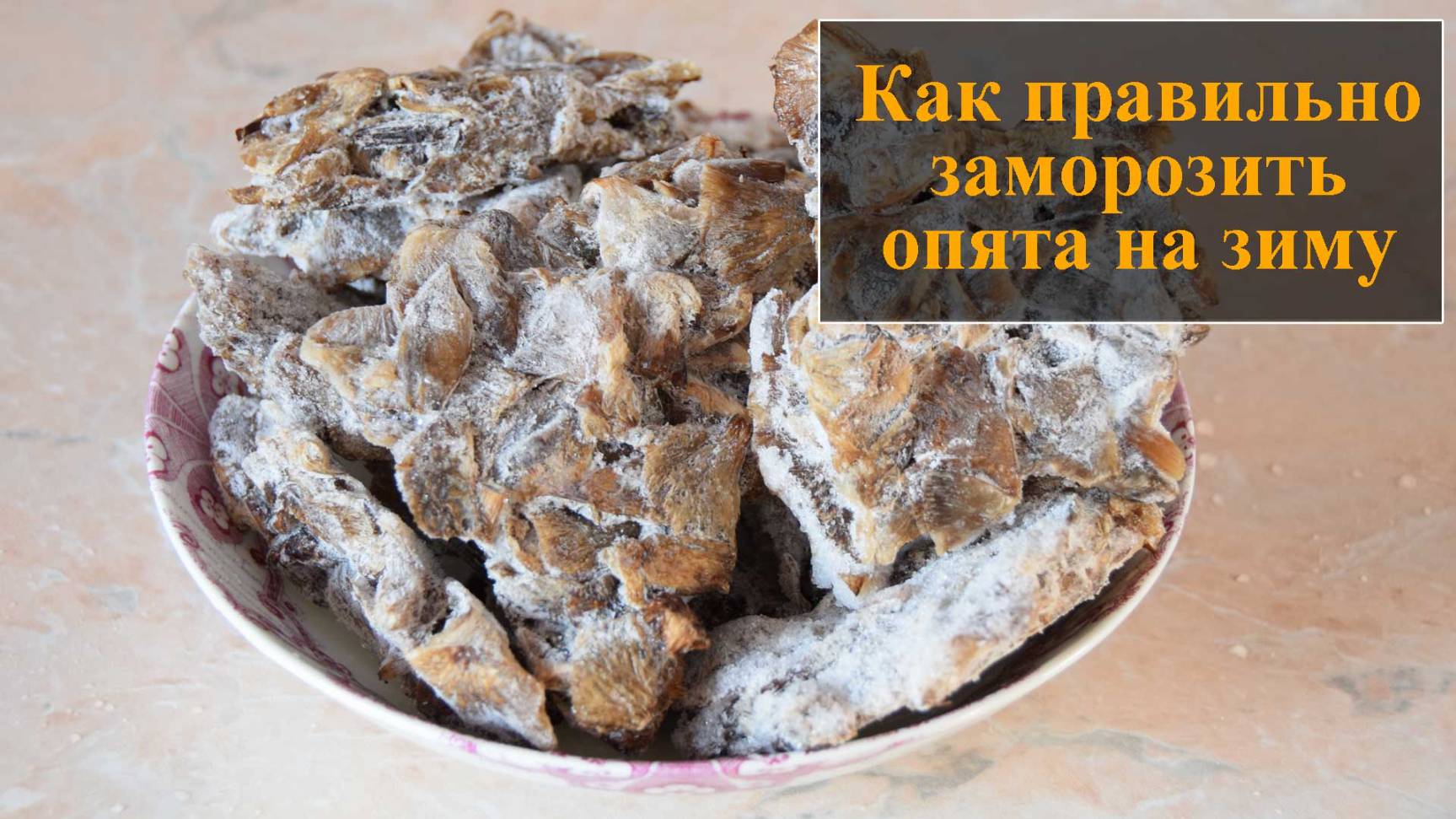 Как замораживать опята в домашних условиях смотреть онлайн