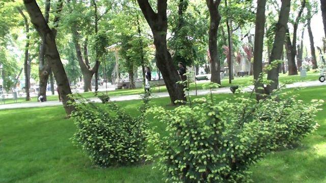 Краснодар смотреть онлайн