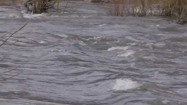 Доски вместо моста через реку Сосна на Лавы Вторые смотреть онлайн