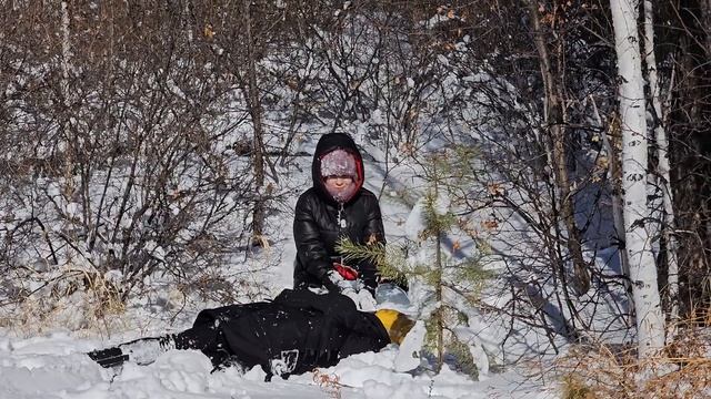 Мегаснег в Чите смотреть онлайн