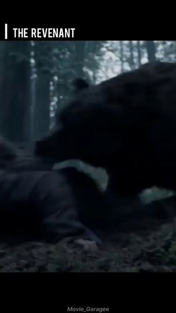 Bear Attack Scene (part-1) #movie #shorts #short #viral #youtubeshorts