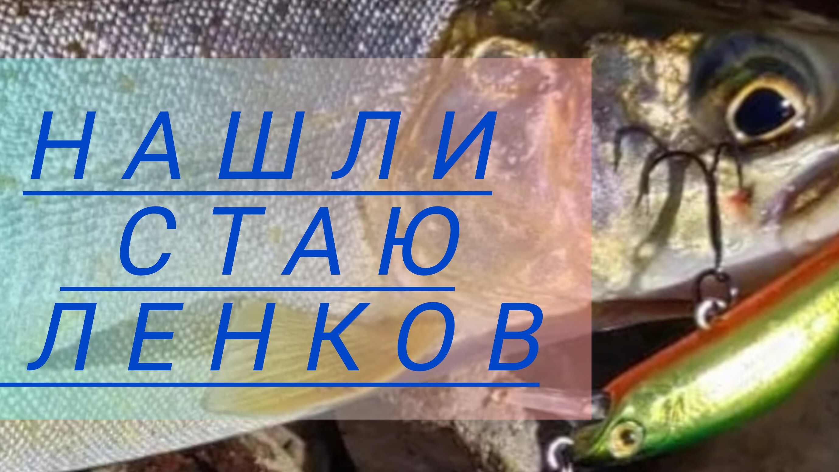 Нашли стаю ЛЕНКА. Ленок на спиннинг. Ленок на поплавок! Рыбалка в России. Как ловить ленка. смотреть онлайн