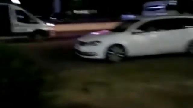 Прогулка с собакой в Беларуси смотреть онлайн