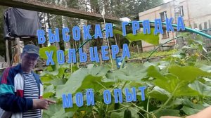 Высокая грядка Хольцера - мой опыт
