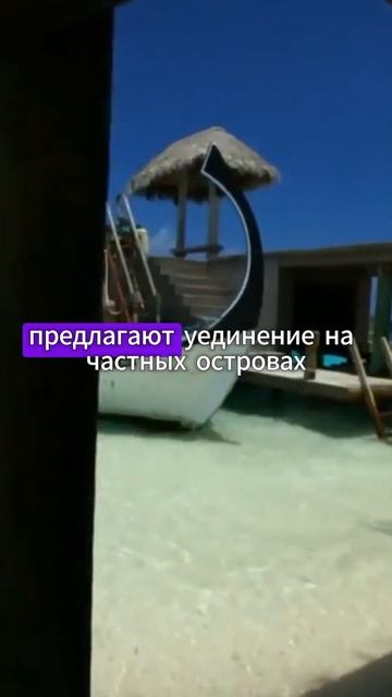 Самый лучший и незабываемый отпуск смотреть онлайн