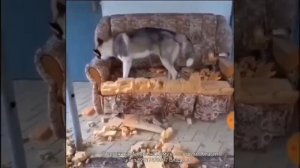 Как разобрать диван, последовательность демонтажа, полезные советы