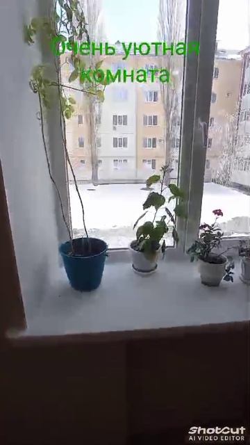 11861588 смотреть онлайн