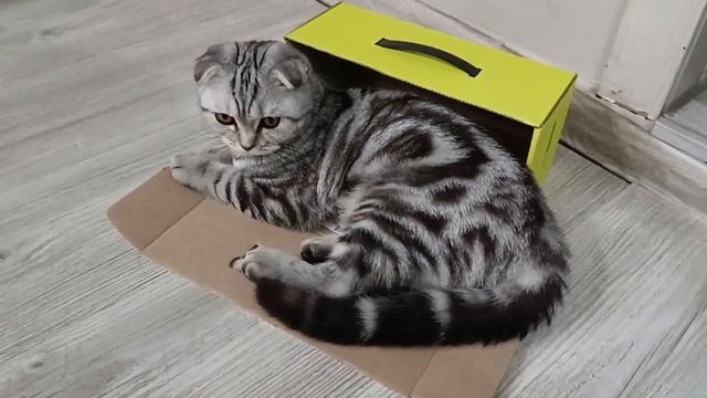 Освоение новой коробки