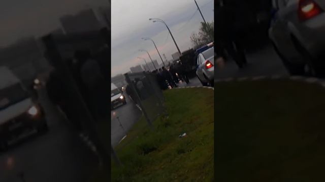 Чуреки на газели