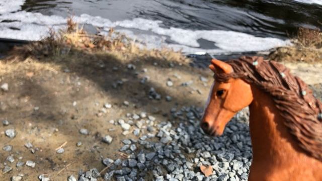 Фотосессия с лошадьми шляйх///каналу 1 год! смотреть онлайн