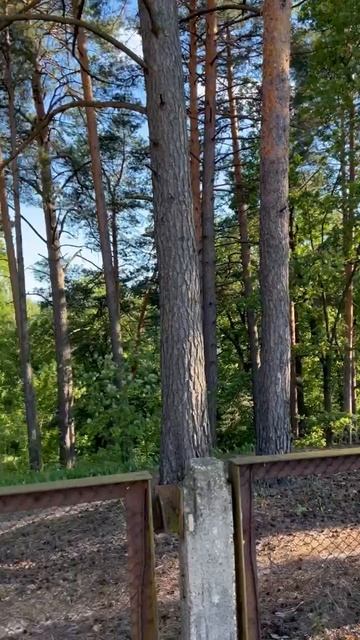 участок алые паруса смотреть онлайн