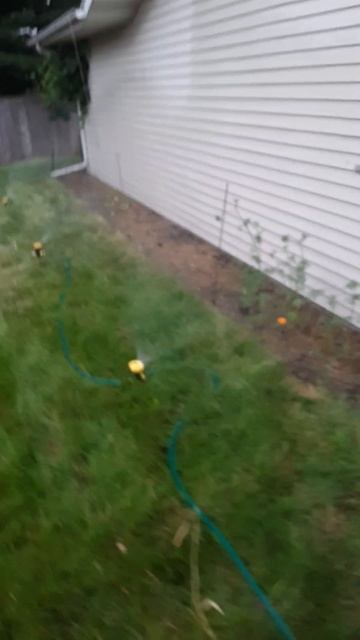 Upgrading the Garden Sprinklers #shorts #garden смотреть онлайн