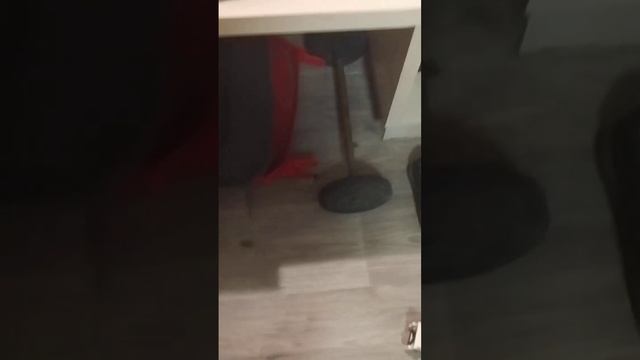 new phone mini bin update смотреть онлайн