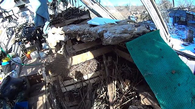 1288 В теплице конец смотреть онлайн
