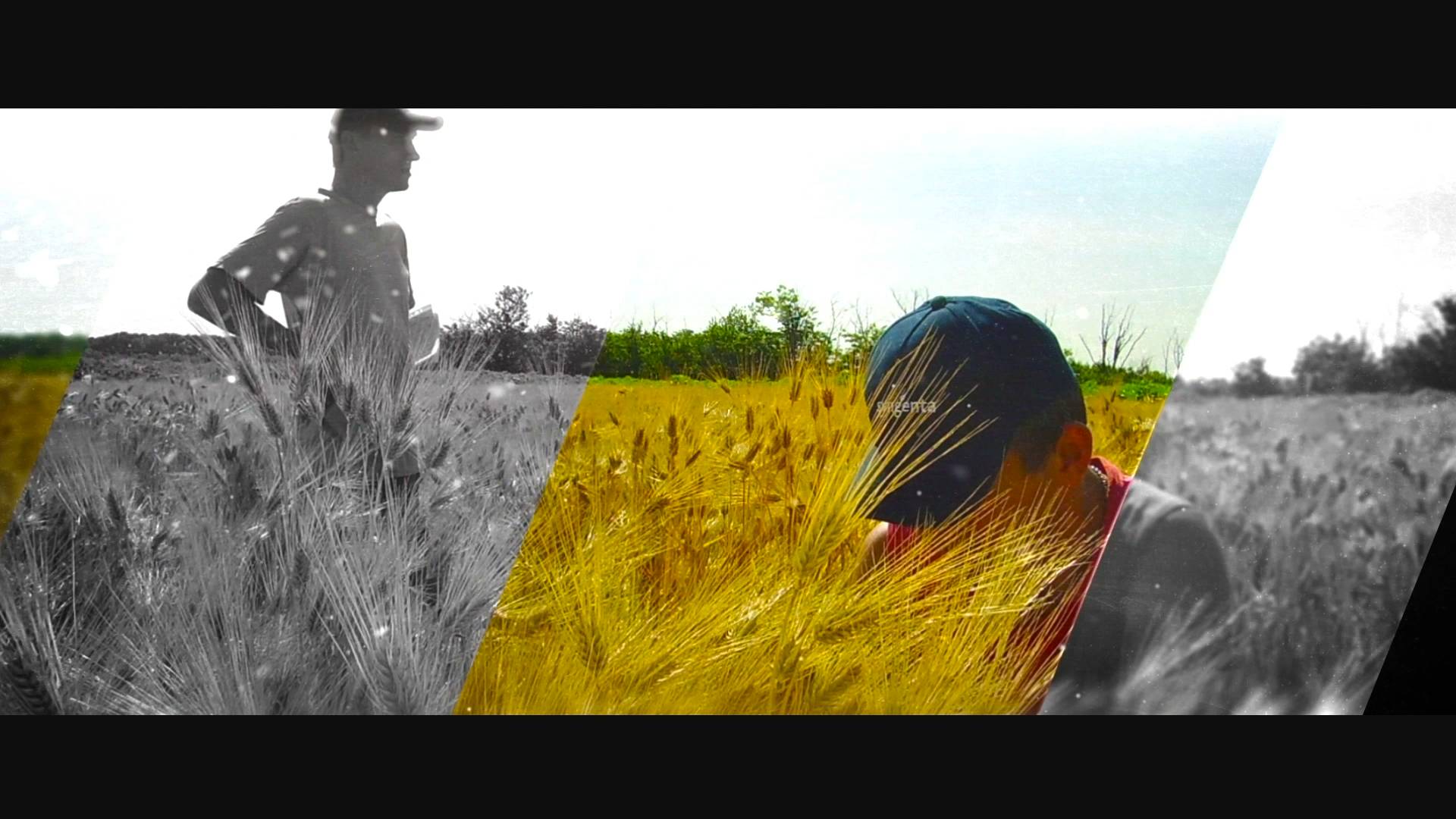 Syngenta. RnD станция (фильм)