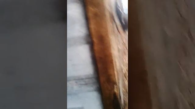 Гуляем на гаражах смотреть онлайн