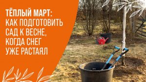 Как ухаживать за садом весной: Пошаговые рекомендации для каждого!