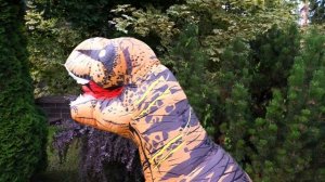 Новые видео куклы - БЕБИ БОН в мире Динозавров! - Мультики для детей с Baby Born. Весёлые игры.