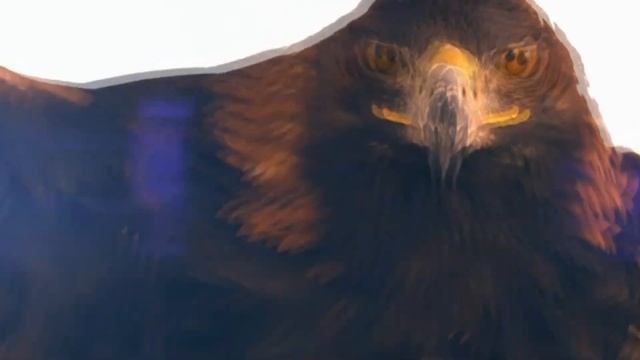 Құрманғазы "Адай" на ЛОЖКАХ- исполняет ансамбль "Николушка" (Казахстан, Уральск) смотреть онлайн
