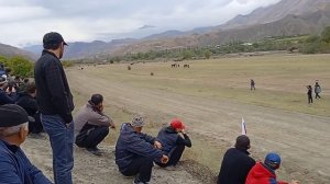 скачки голотль