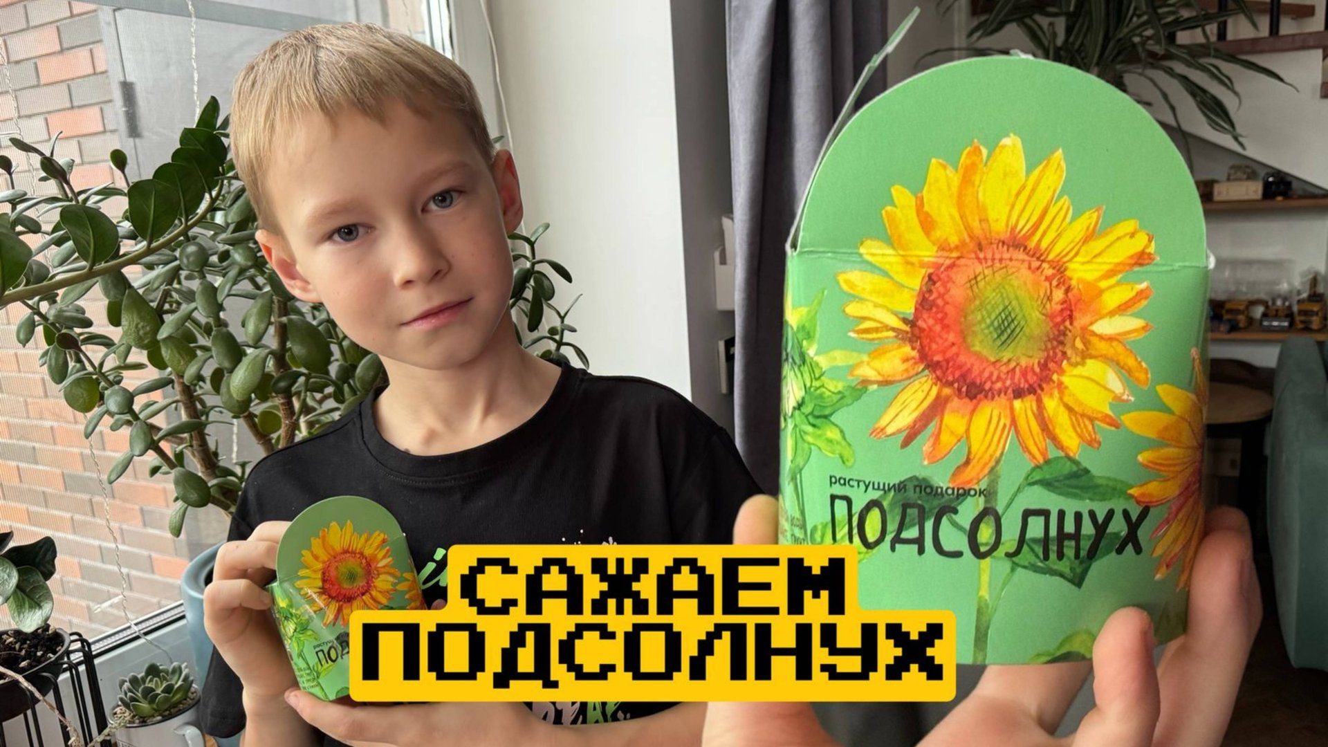 Сажаем подсолнух из фикспрайса смотреть онлайн