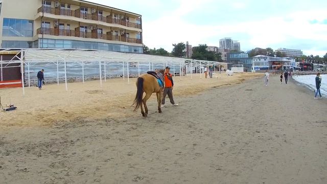 Колибри в Анапе? / Будут сносить киоски в Центральном парке развлечений / Анапа 23 октября 2020 смотреть онлайн