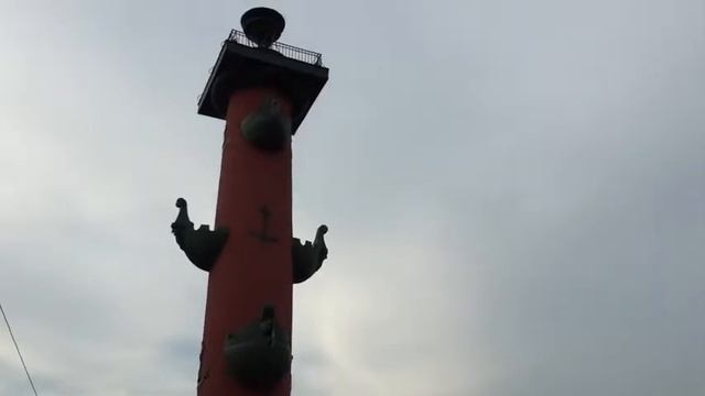 Так проходят наши туры в Питер