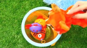 Видео для детей про жизнь домашних животных - Капуки Кануки