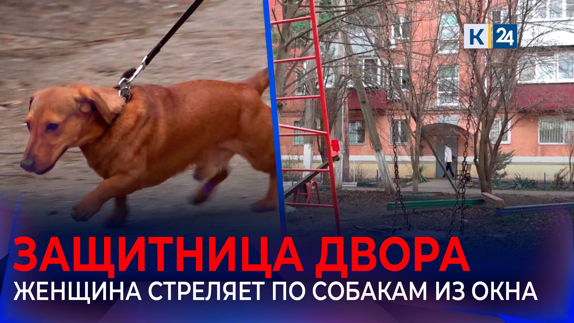 В Краснодаре жители пожаловались на соседку, стреляющую по собакам смотреть онлайн