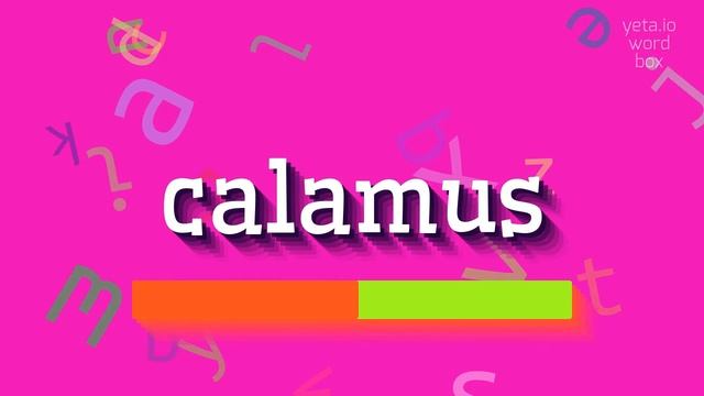 CALAMUS - HOW TO SAY CALAMUS? смотреть онлайн