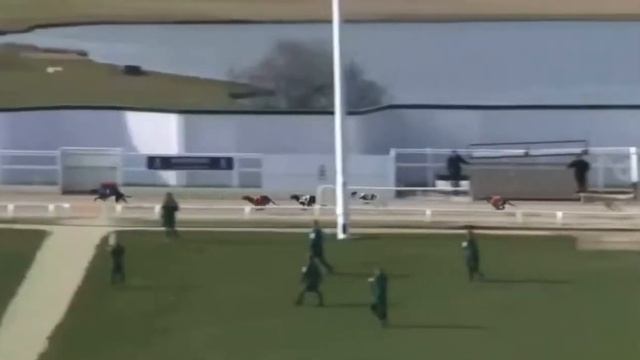 Towcester TRC Leisure 712m Stayers - 20th March 2022 смотреть онлайн